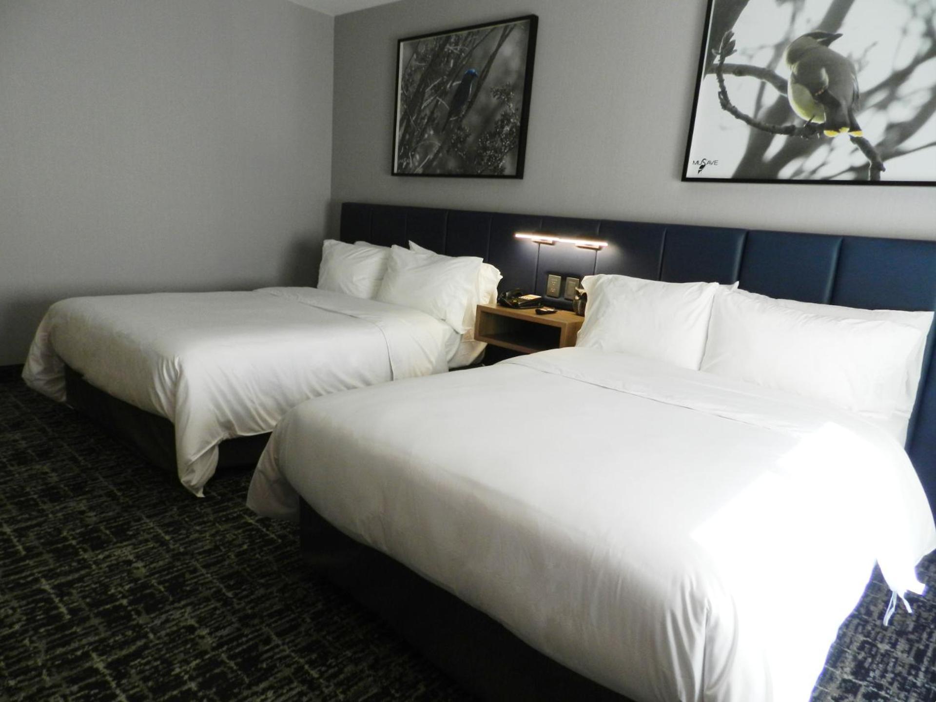 Voco Saltillo Suites By Ihg Экстерьер фото
