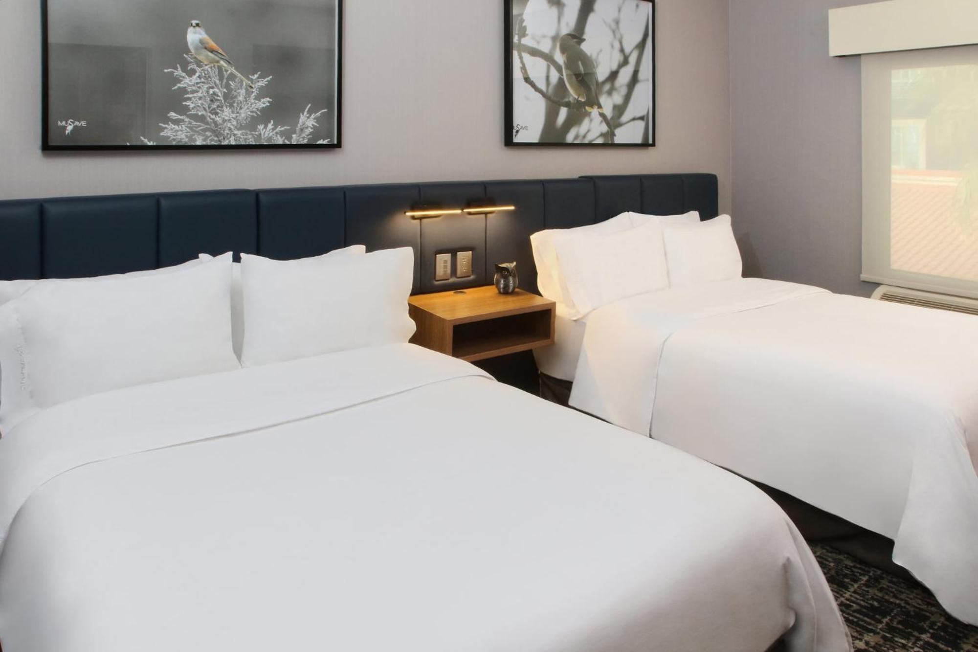 Voco Saltillo Suites By Ihg Экстерьер фото