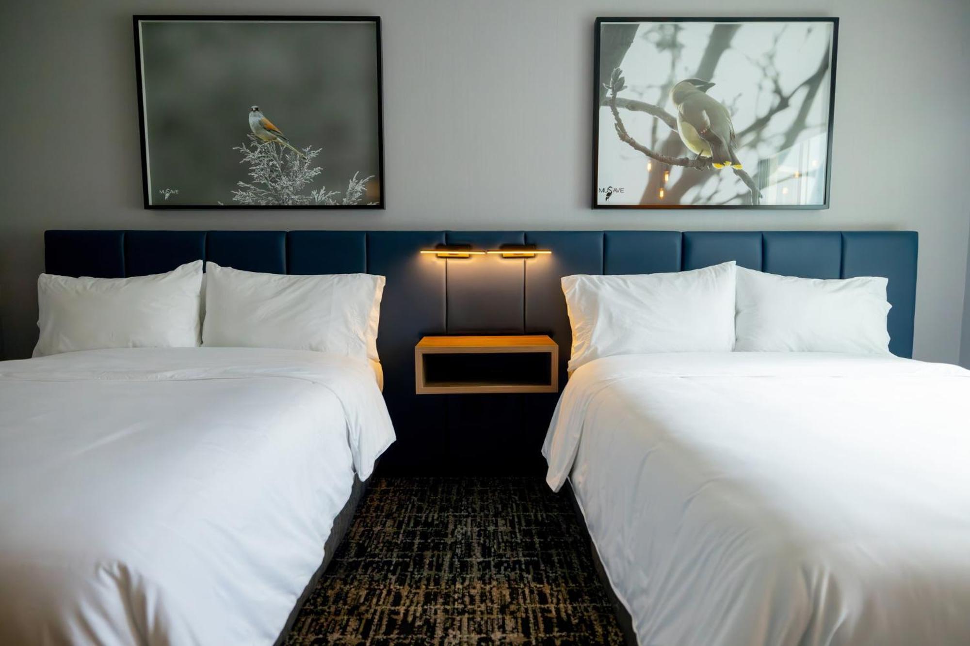 Voco Saltillo Suites By Ihg Экстерьер фото